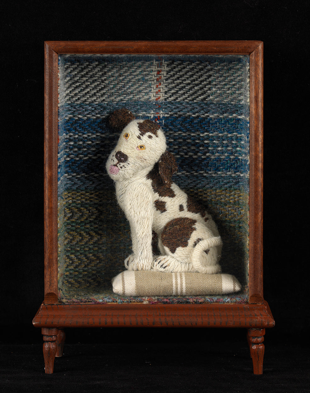 “Spotty on his Cushion”