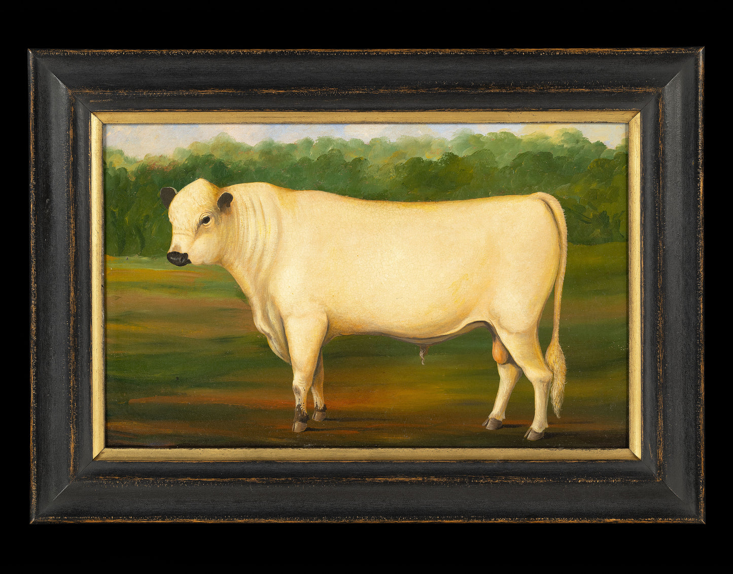 A Classic Folk Art Livestock Portrait of a Prize British White Bull