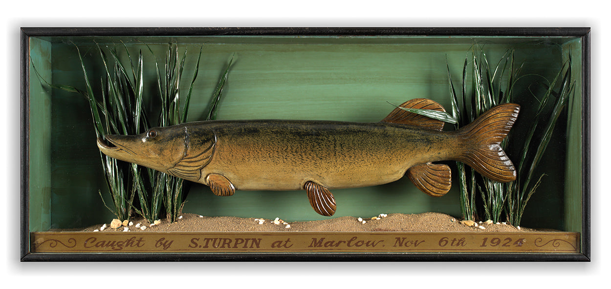 Unusual Folk Art Pike Fishing Trophy Diorama