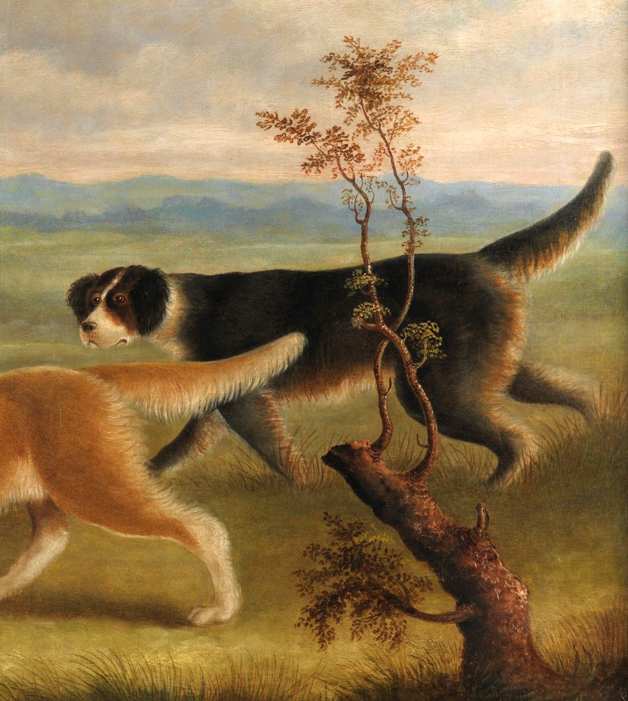 Favourite Hounds On The Heath'