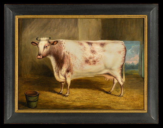 Delightful English Naive School Prize Livestock Portrait
