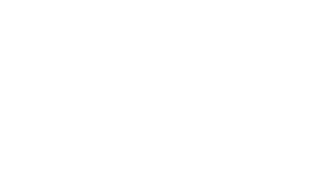 Robert Young Antiques