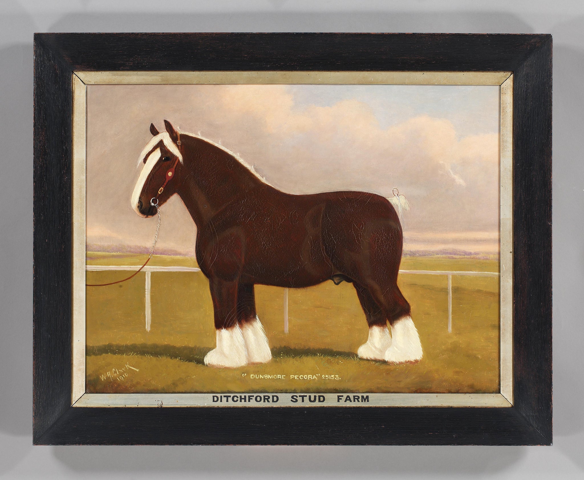 The Handsome Suffolk Punch Depicted Standing Four Square