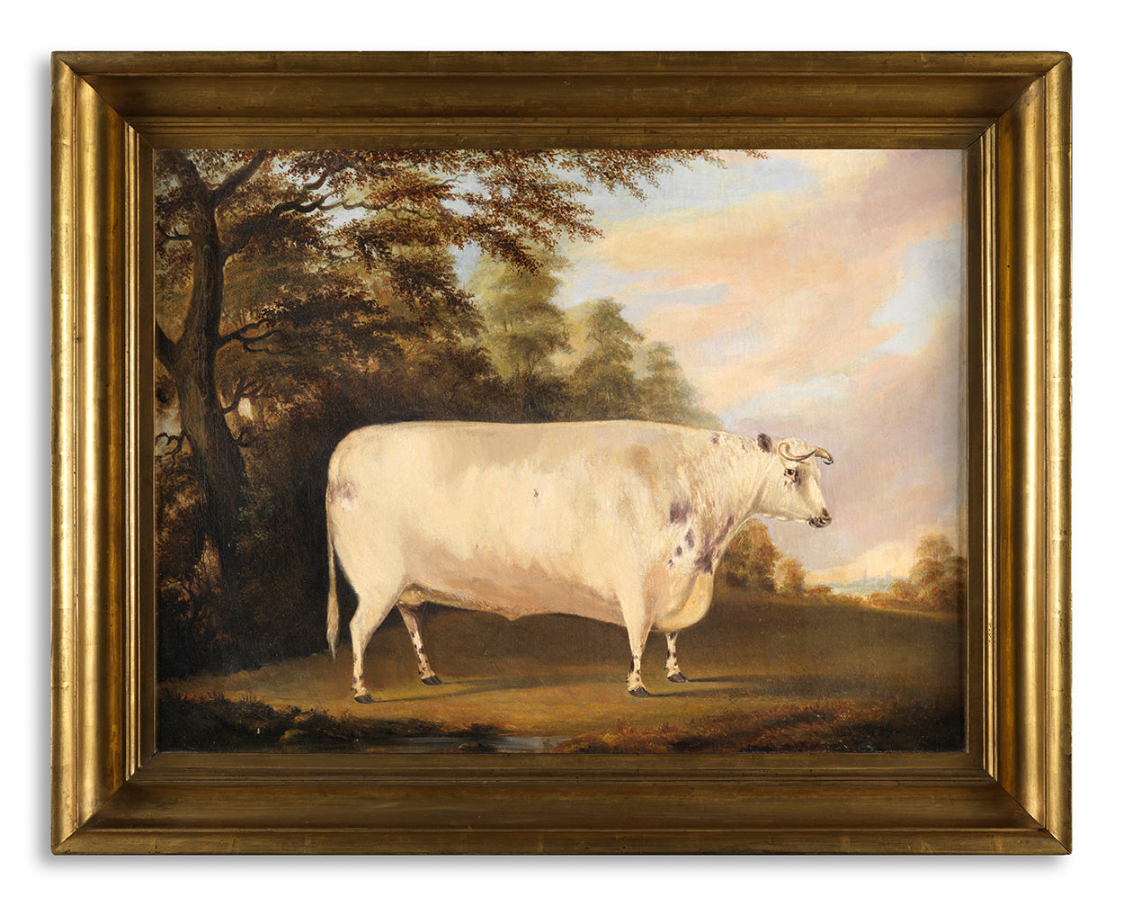 Depicting a Large Square White Bull in a Stylised Landscape