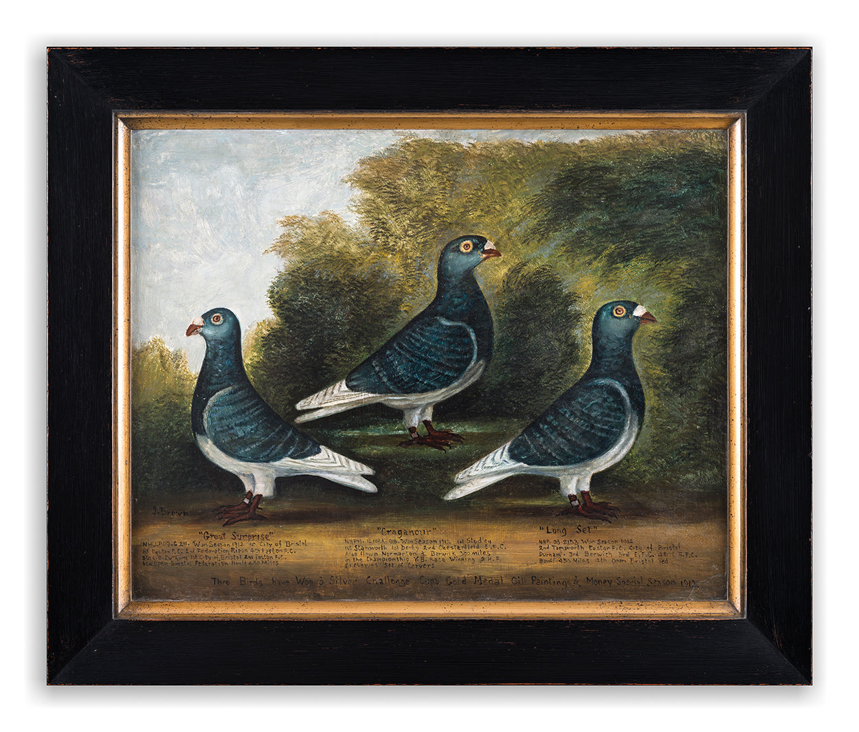 Stylised Portrait of Three Racing Pigeons