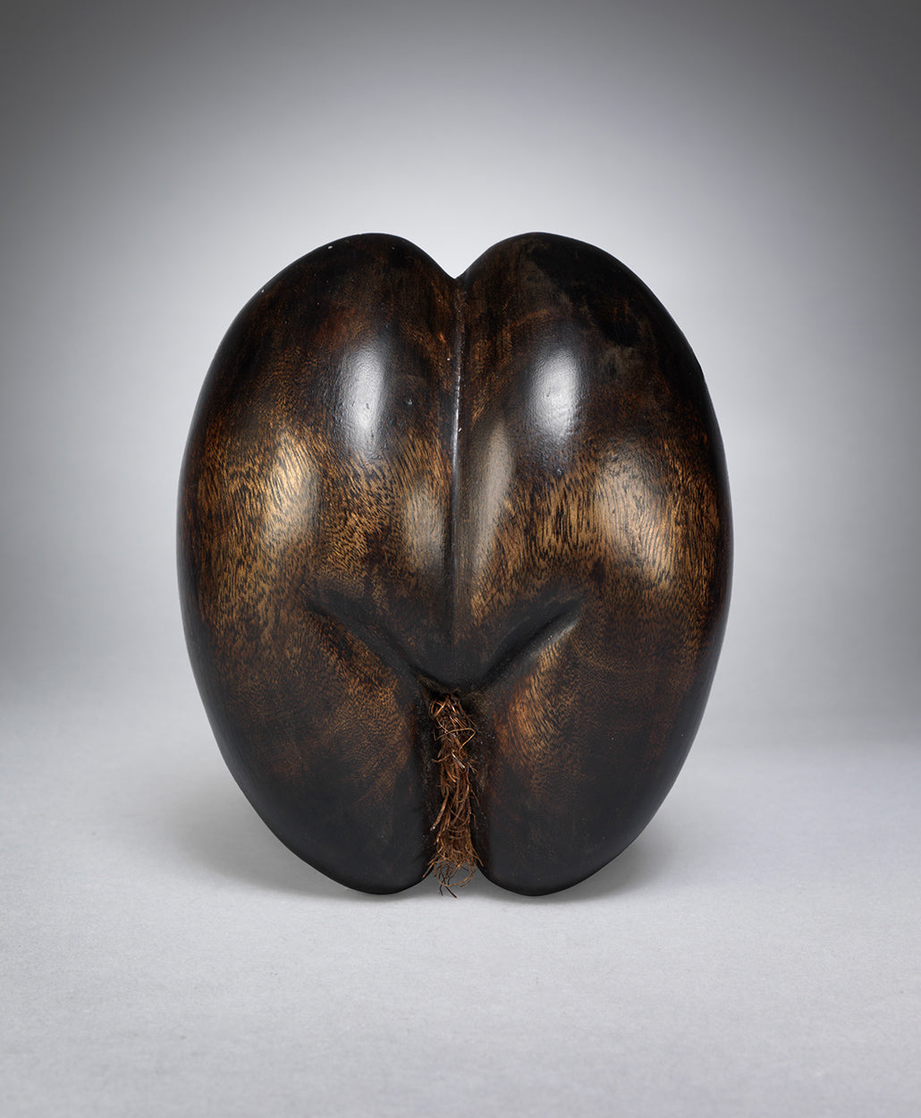 Unusual Wood Carving in the Form of a Diminutive Coco de Mer