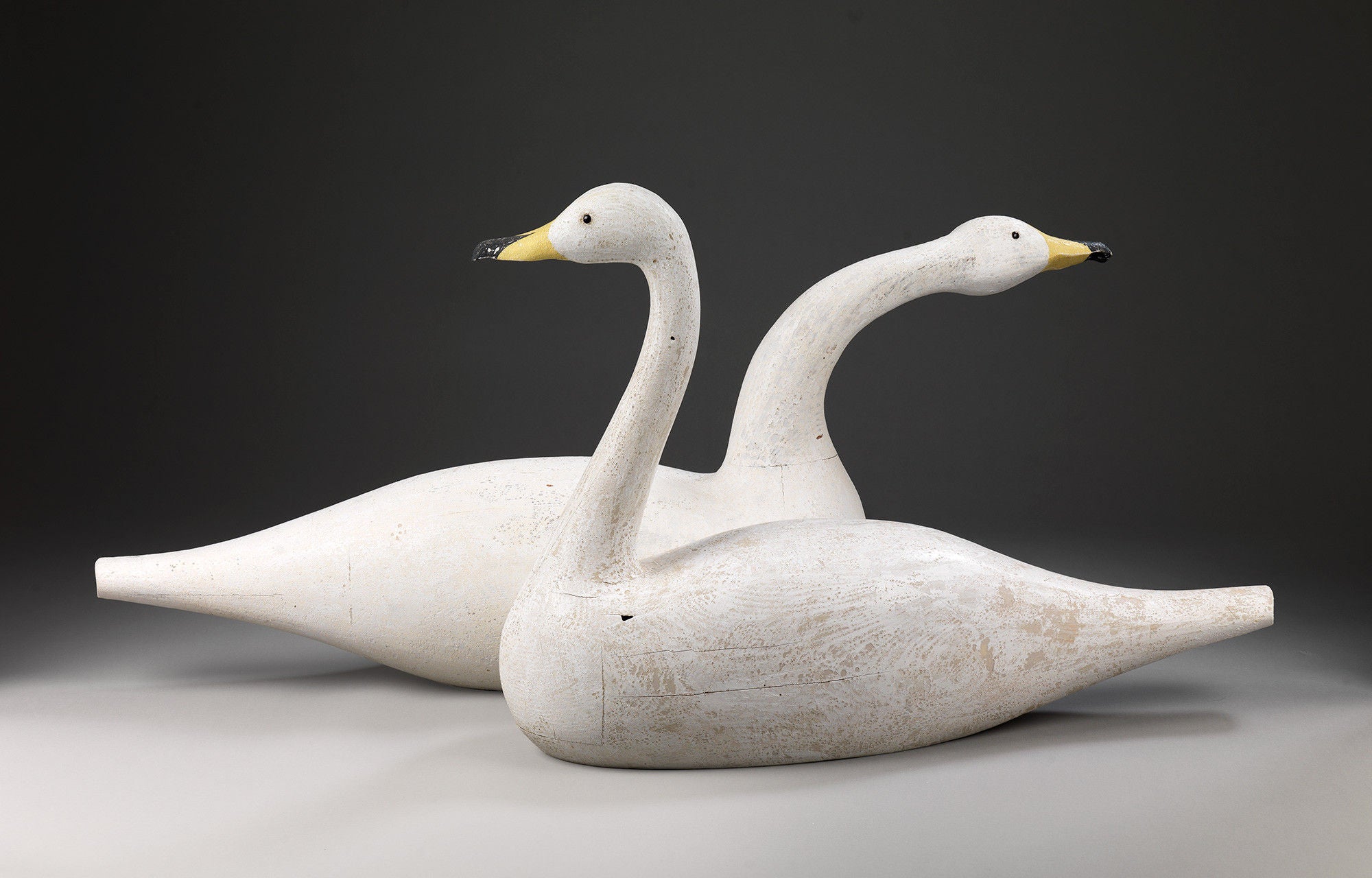 Magnificent Pair of Full Bodied Life-Size Swans