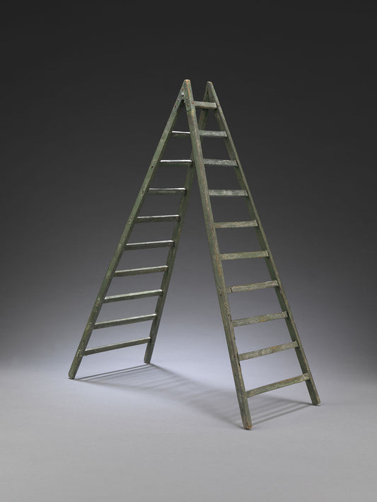 Delightful Vernacular Tradesman's Sample Step Ladder