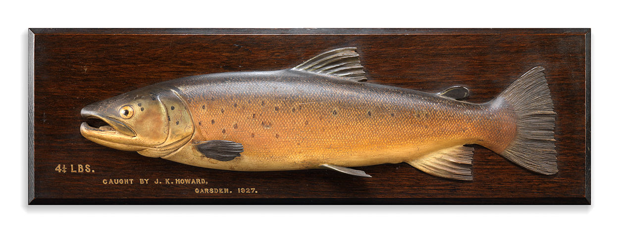 A Fine Brown Trout Fishing Trophy