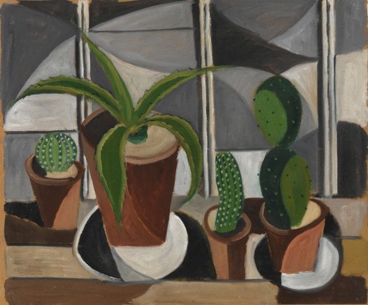 Composition with Cacti