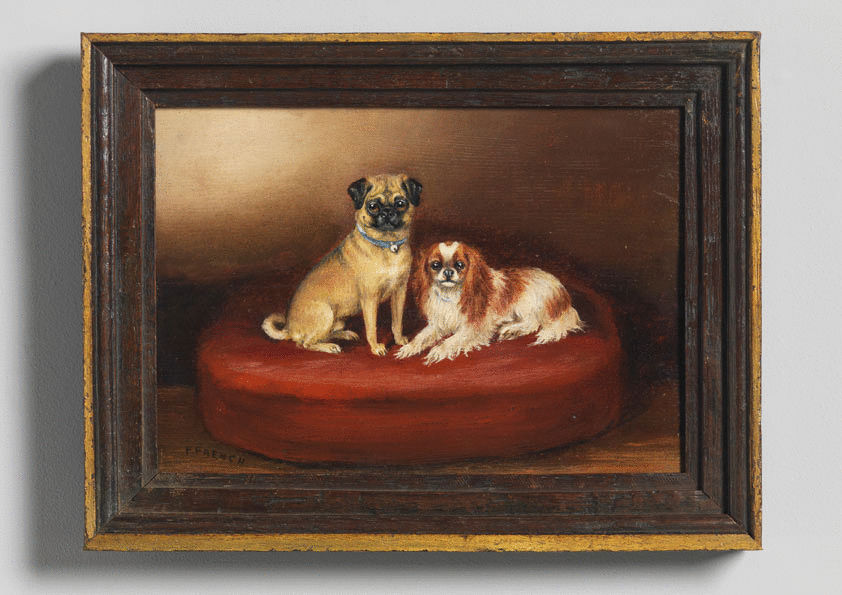 A Pug and A King Charles Spaniel'