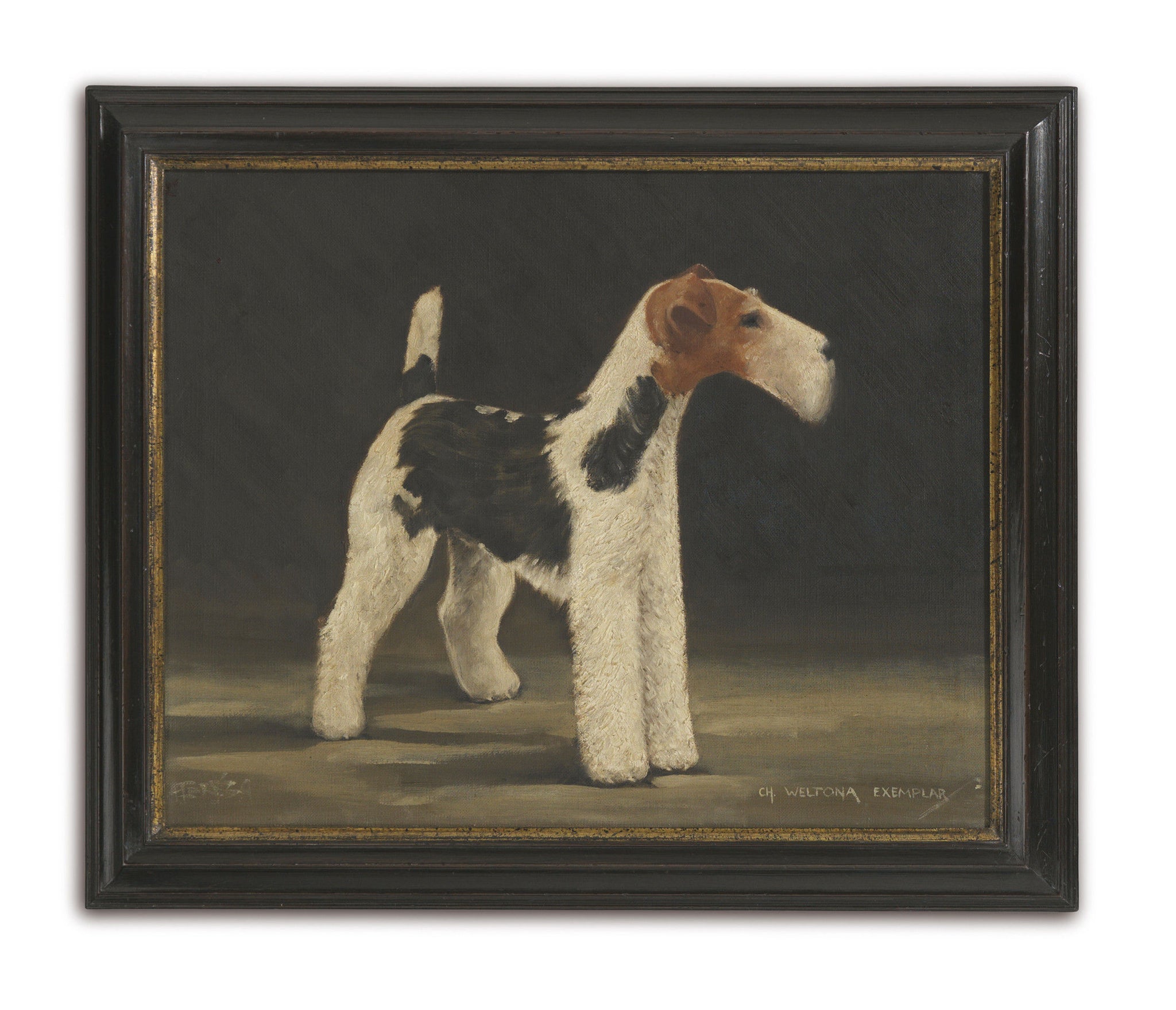 Four Prize Wire Fox Terrier