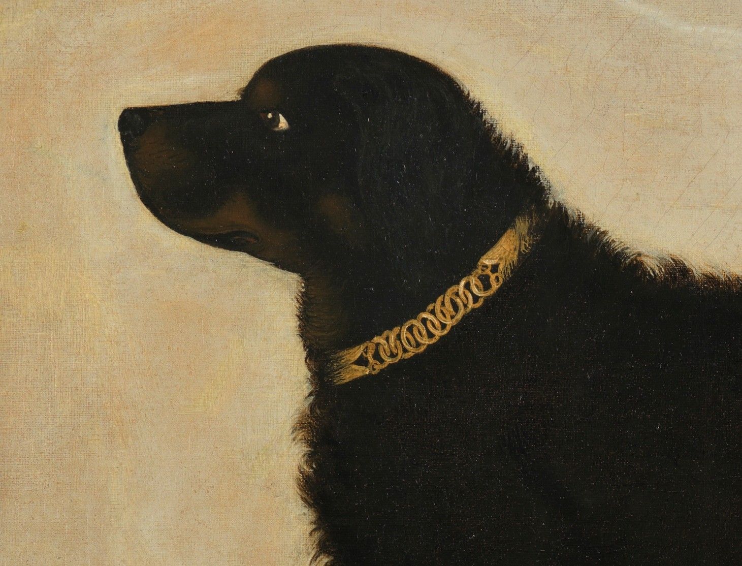 Fine Naive Dog Profile Portrait