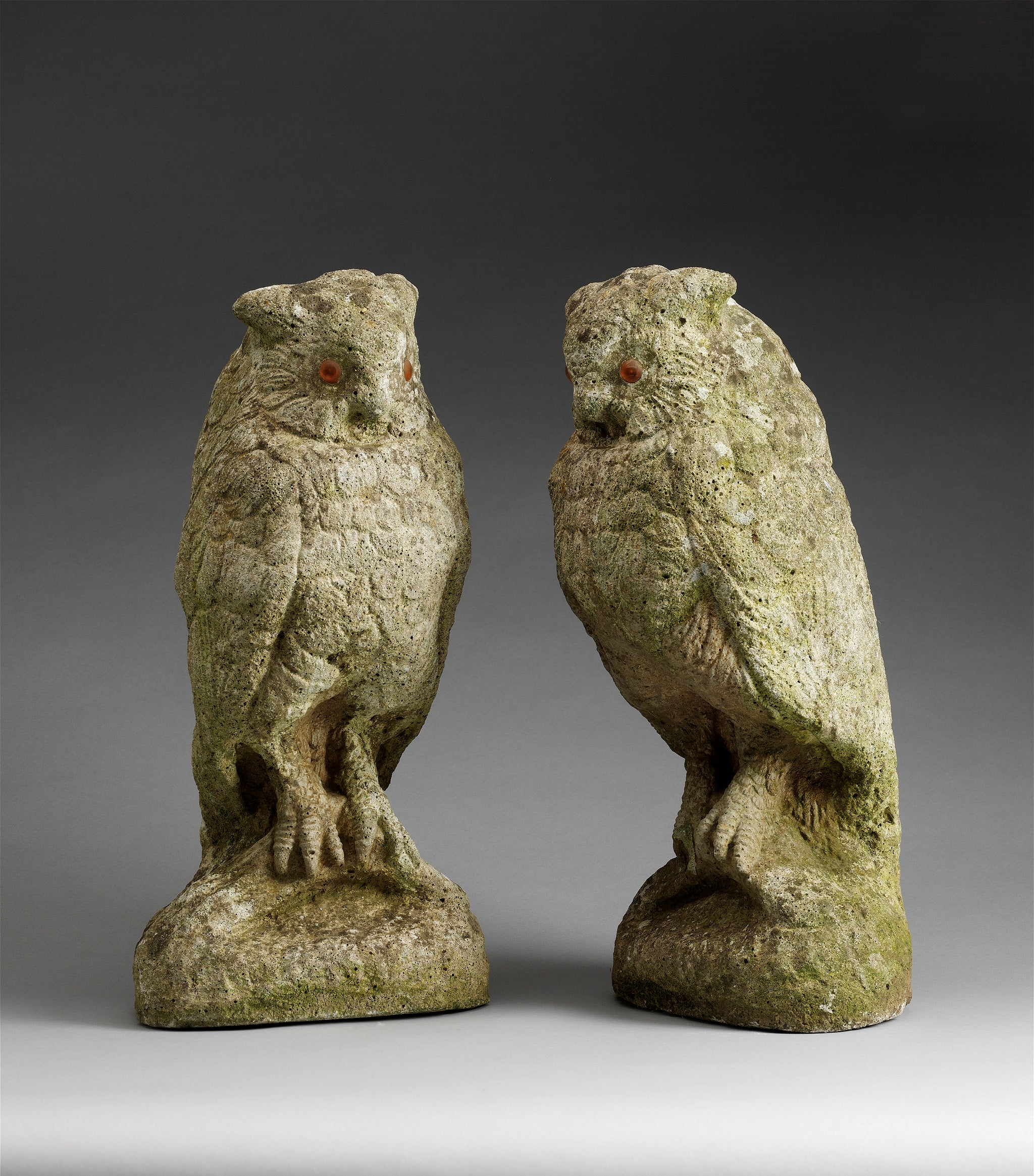 Two Standing Owls